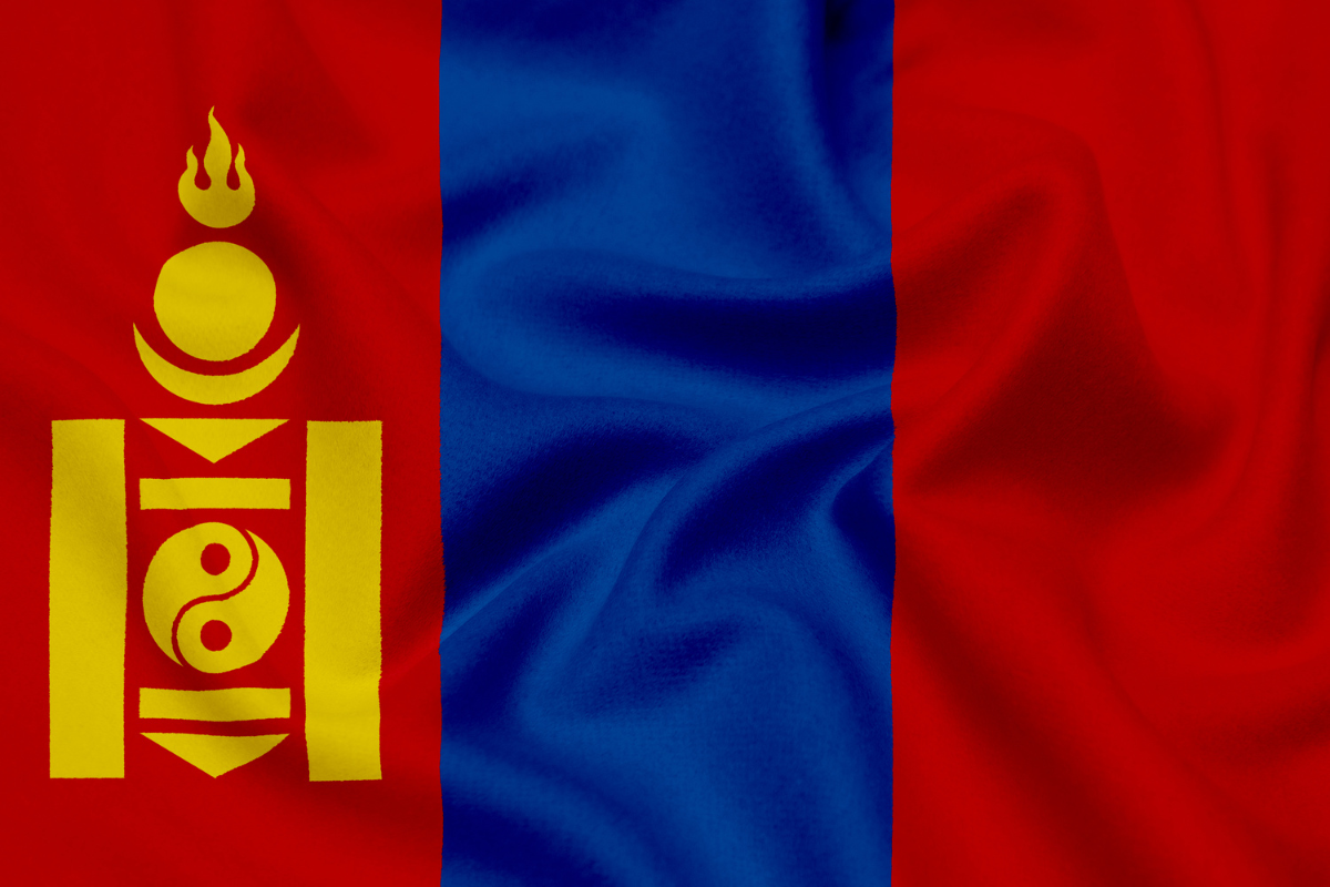 International Hospital Commissioning Experience in Mongolia